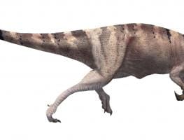 Baryonyx