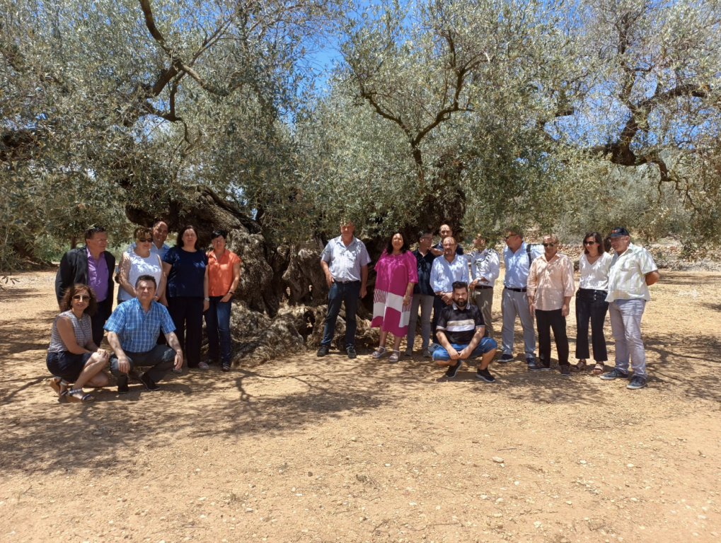 Foto grupal en el Olivo