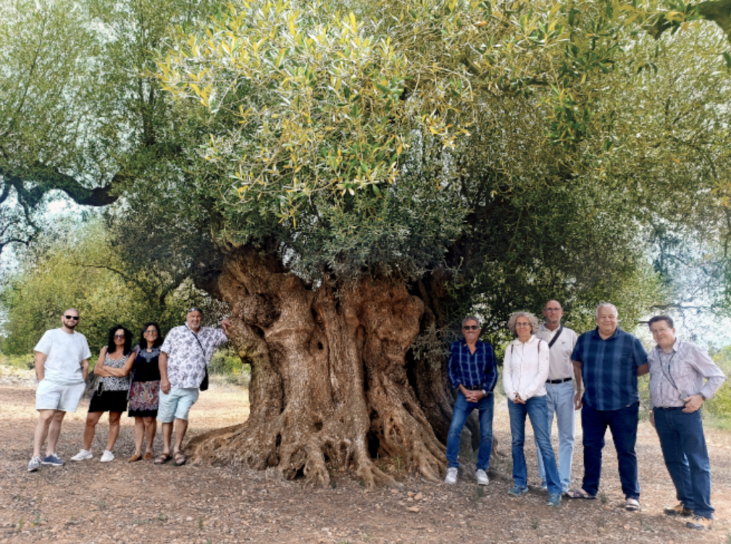 Group photo with the Millenary Olive Tree