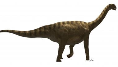 Losillasaurus_Aras de los Olmos