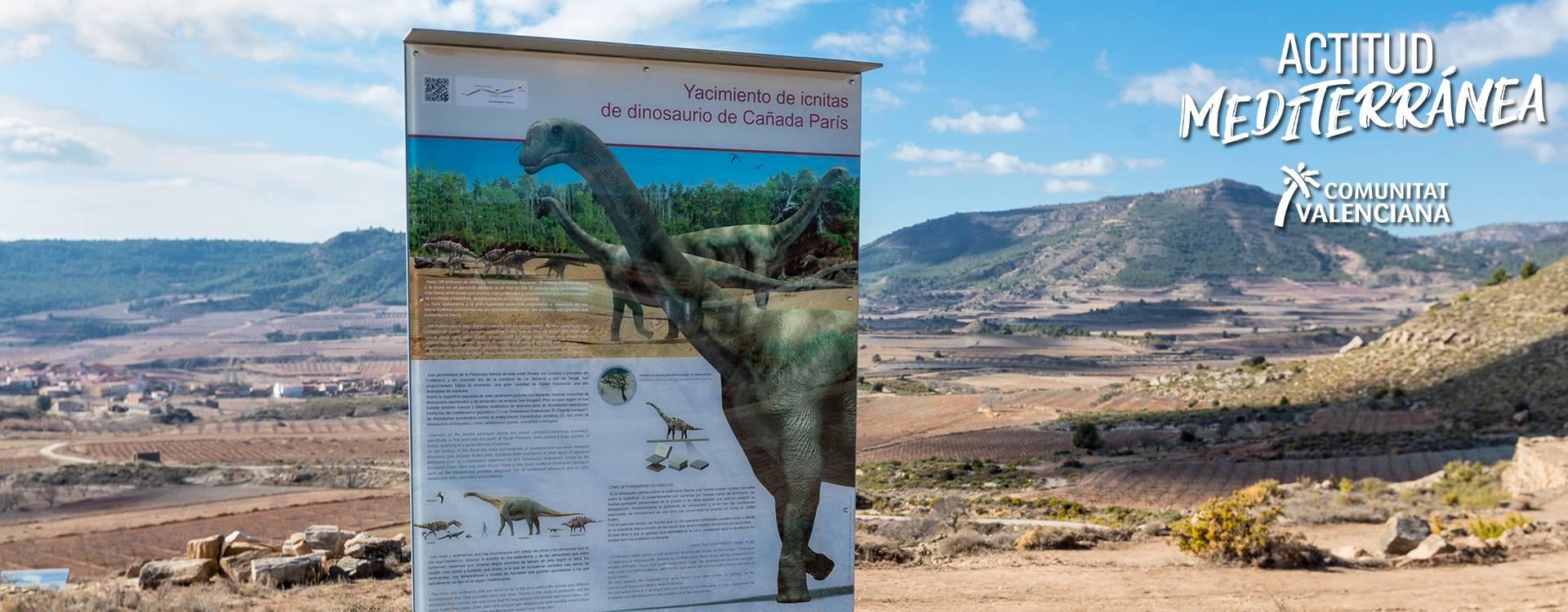 Yacimiento De Huellas De Dinosaurios De Corcolilla